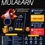 MulaEarn Malawi