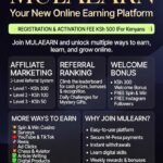 MulaEarn Zambia